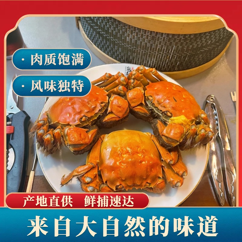 【活蟹】盘锦河蟹  母蟹（1.3-1两）到手2.5斤  稻田蟹鲜活到家（25-20只）