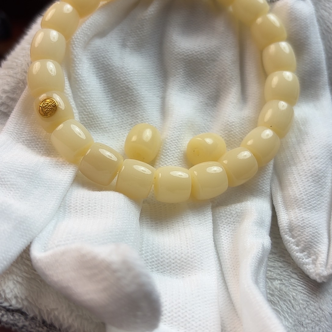 骆驼牙手串/手链骆驼牙