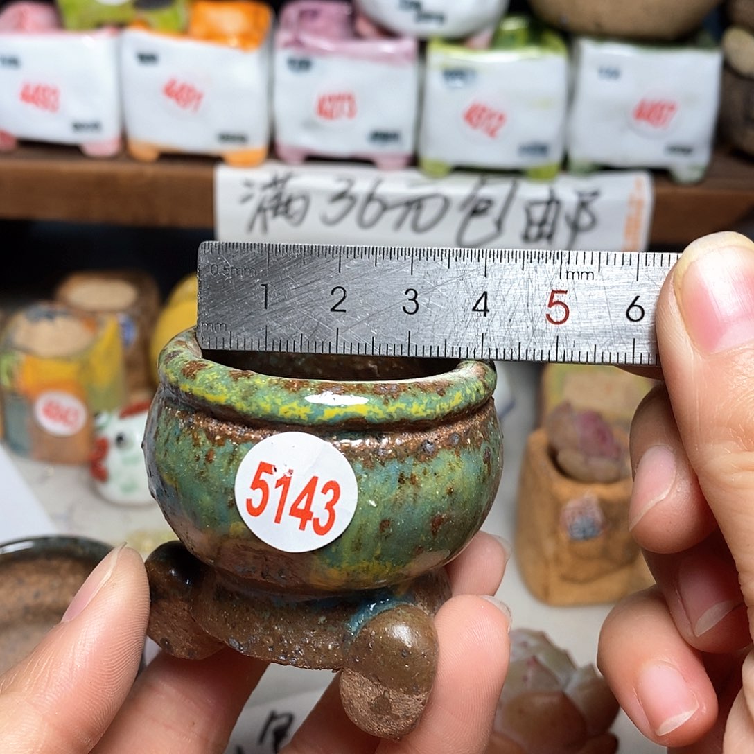 红陶拍5送一个小