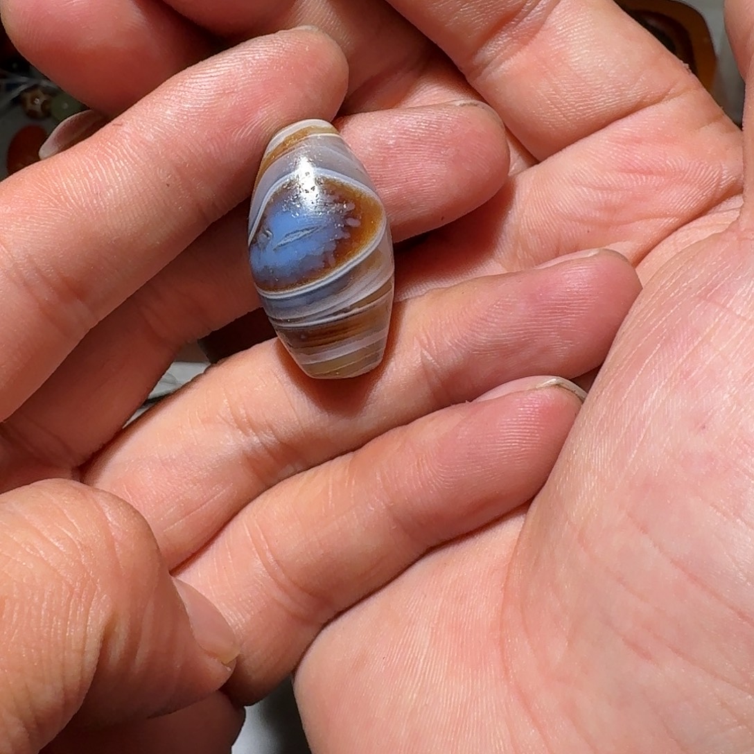 虎***s铁哈哈哈哈哈哈哈哈好家伙