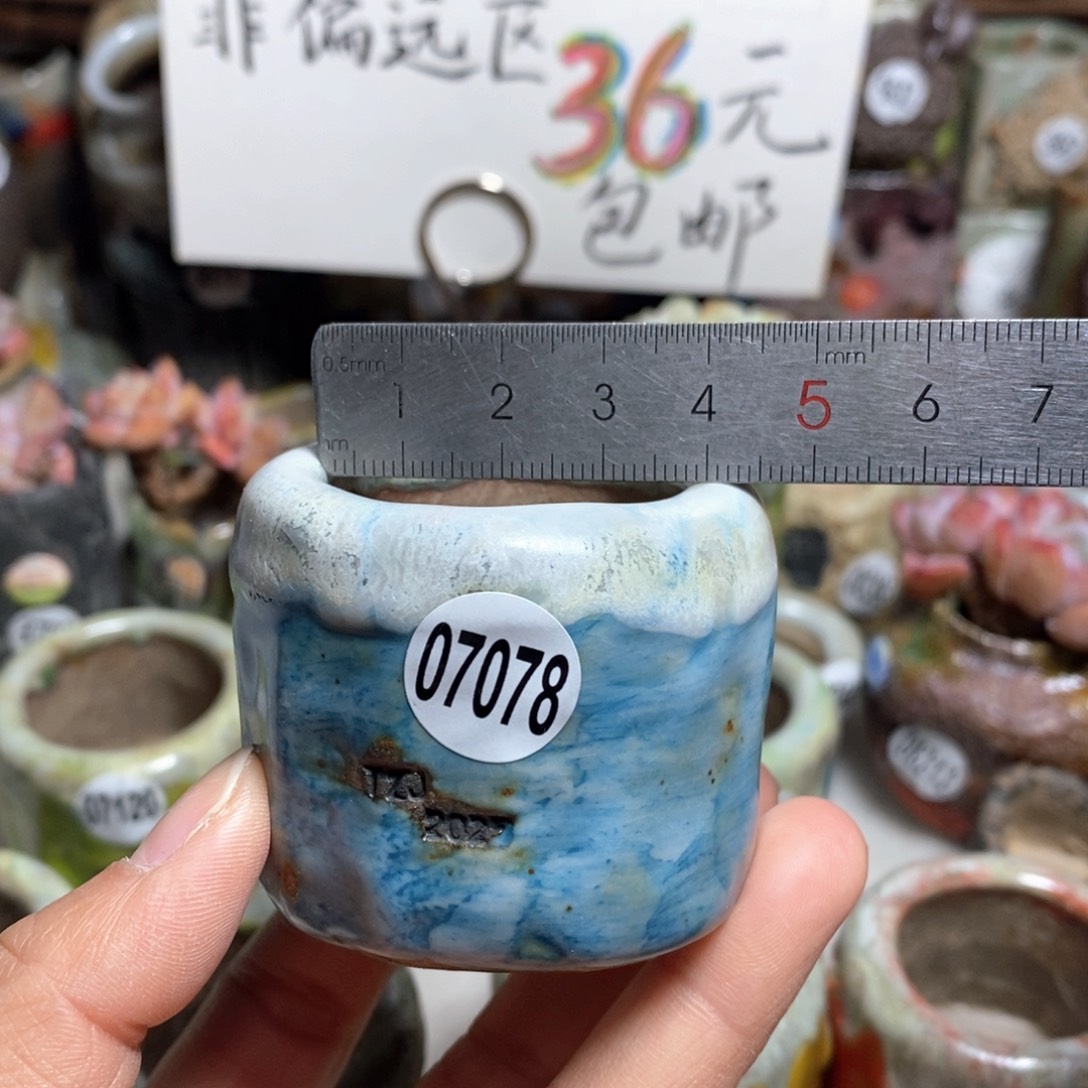 花盆拍3送一个小礼物