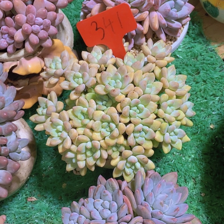 是吗这不还没有下班么