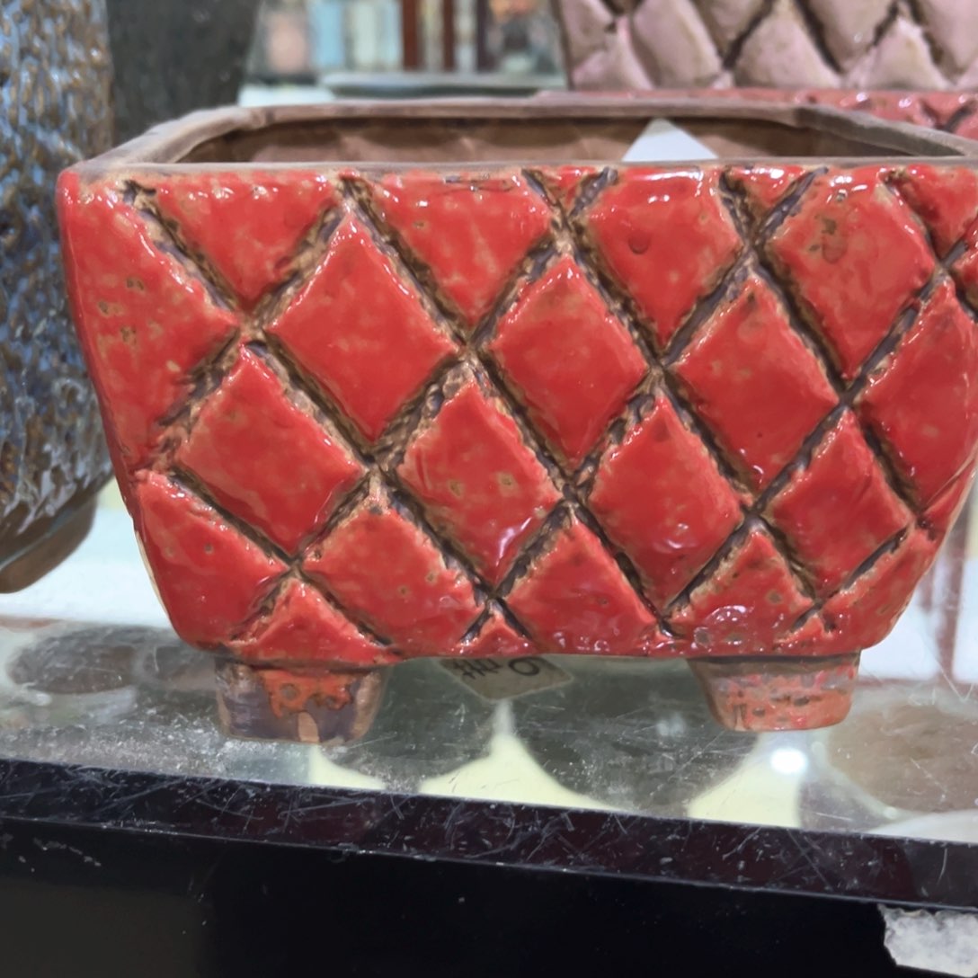 红陶福利福利福利福利