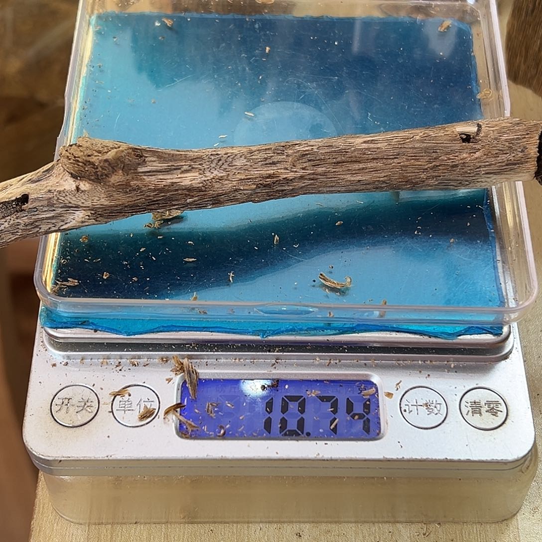 香料绿奇楠虫漏10克乌身