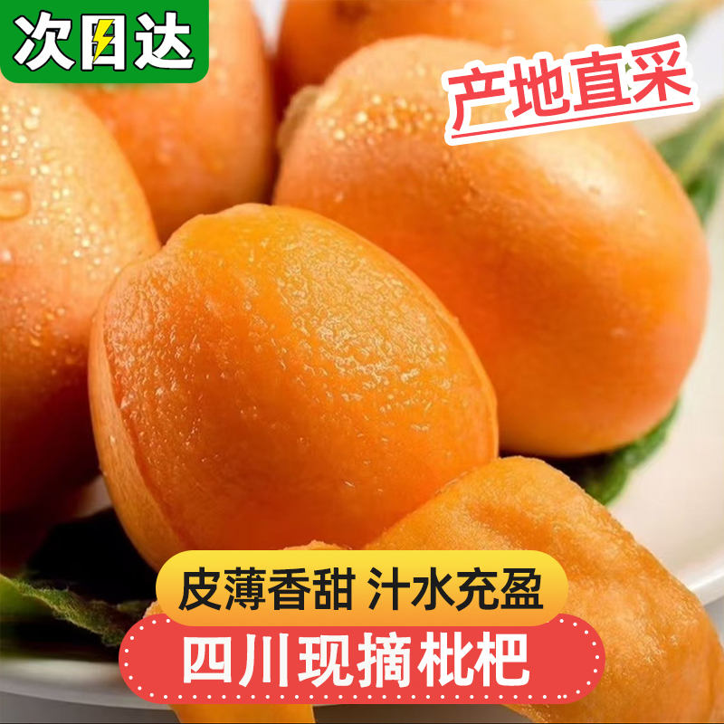 明日达【基地直采】LZ1新鲜蜂糖枇杷四川大五星枇杷软糯香甜当季水果20-40g/颗四川省