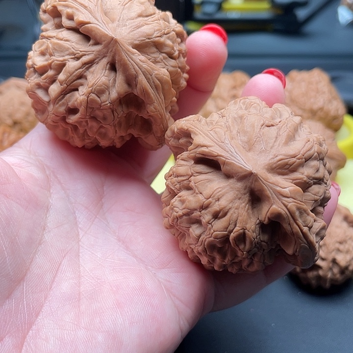 全品无修大龙鼎54/50/45