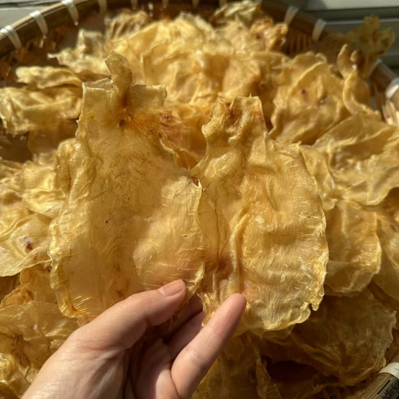 H615845  裕初 甲肚片（统货）500g 鱼胶 花胶 炖鸡汤清水 广东汕头