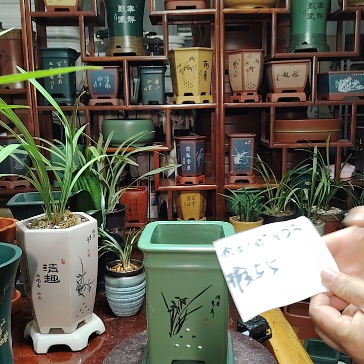 5S:/ 12/26 q@r.eO 【陶霸廊精品紫砂的直播间