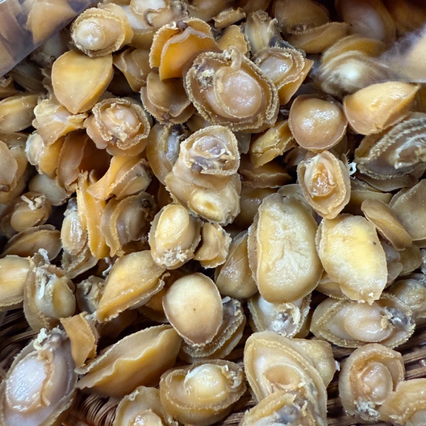 介意勿拍 鲍鱼干(有大有小)(新货)