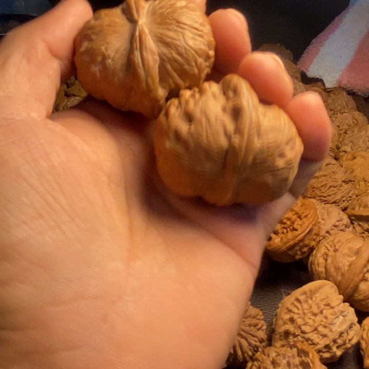 哪****元宝1234655个行政紫牙乌/石榴石（处理）