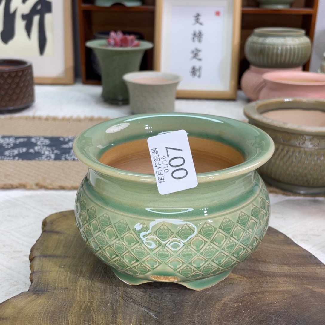 多肉陶瓷 007 内口11. cm ✨****✨