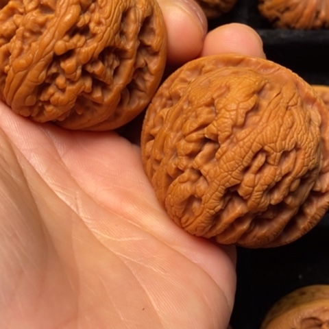 文玩核桃把件秦岭山脉北缘