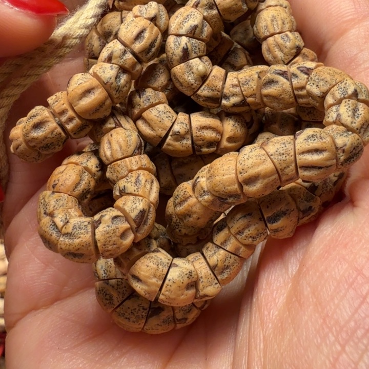 柏香籽/百香籽手串