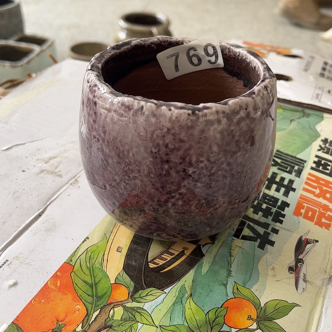 乐享园艺769孤品111111