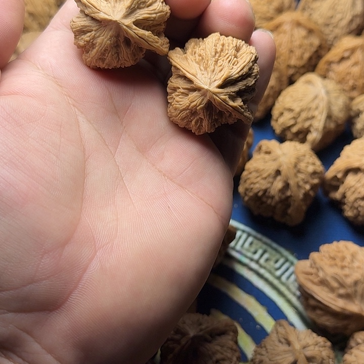 38全品无修承德密文