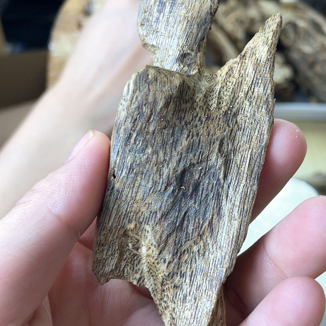 木绿奇楠原材料虫漏18克