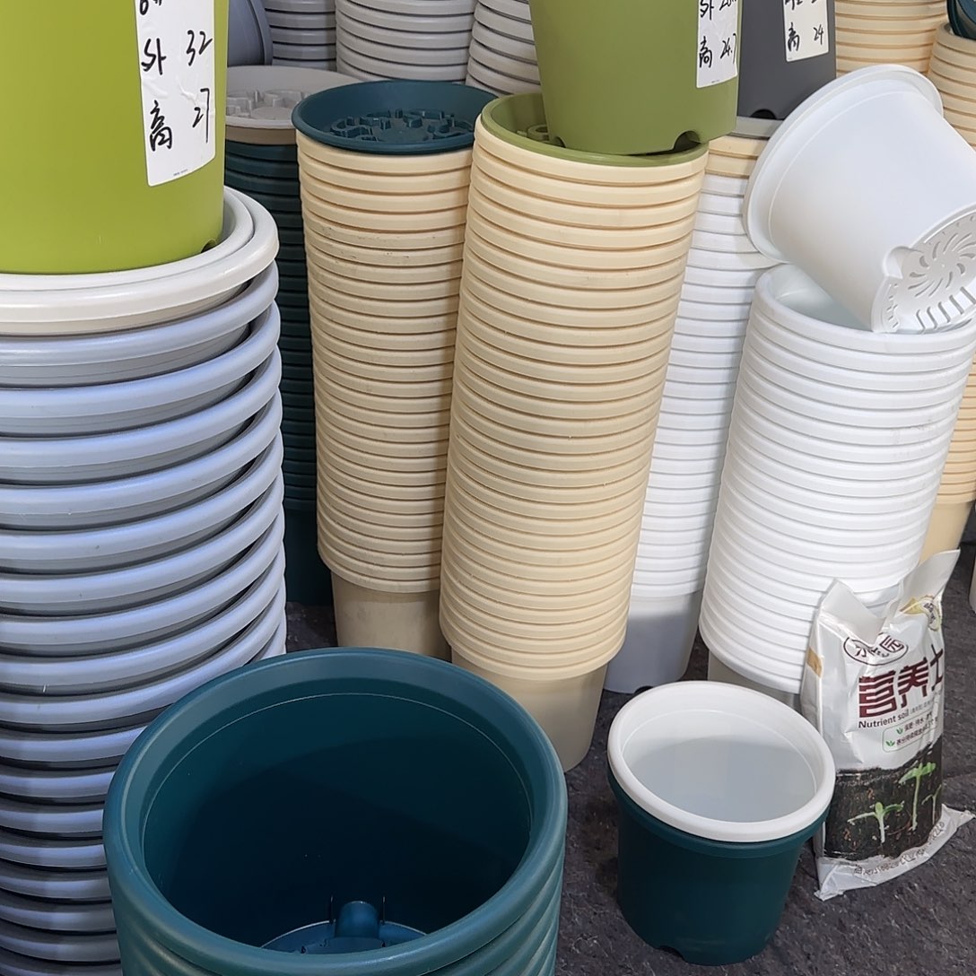 树脂四季5号无托6个果绿微瑕