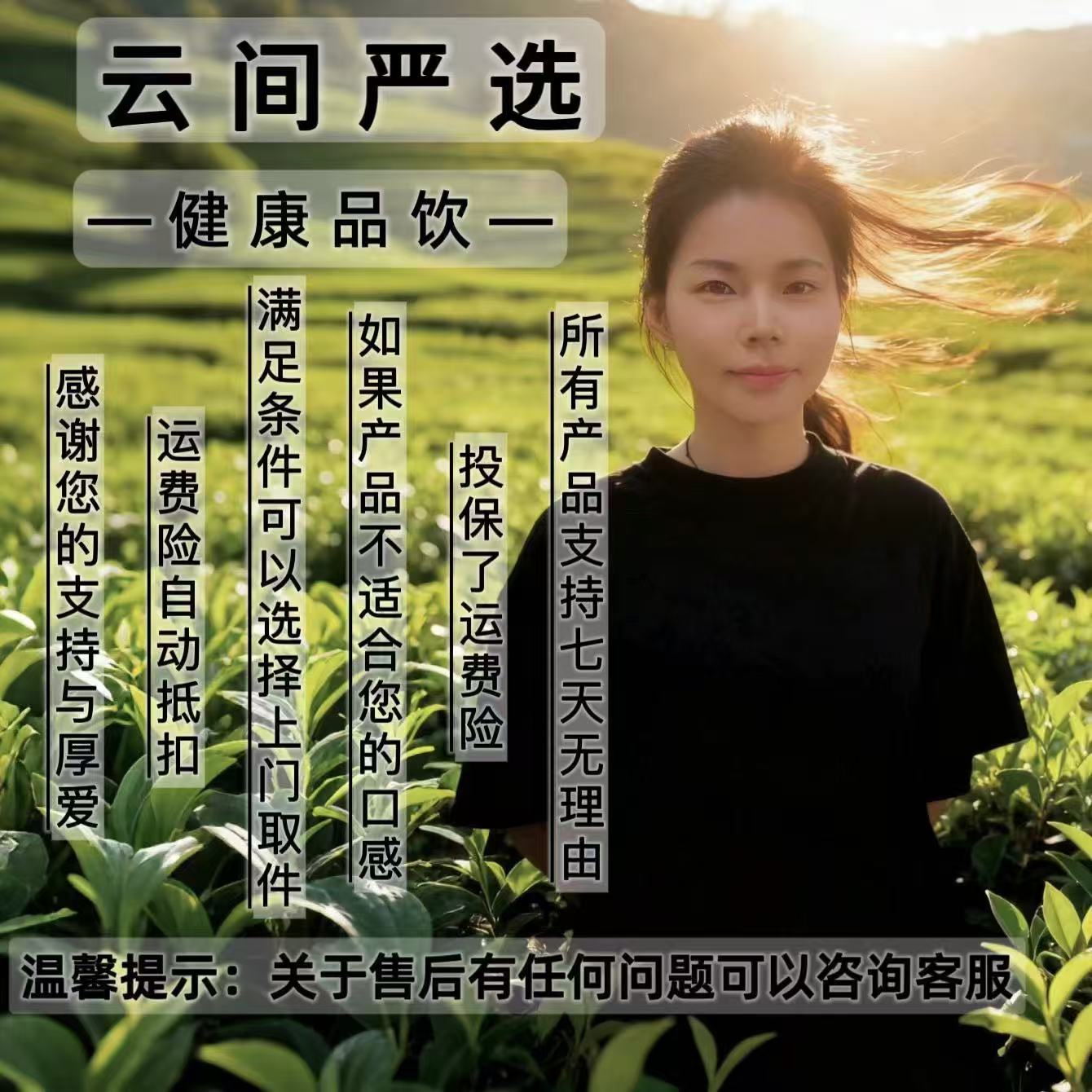  文王一支笔    鹿~仙草   益身百搭茶②