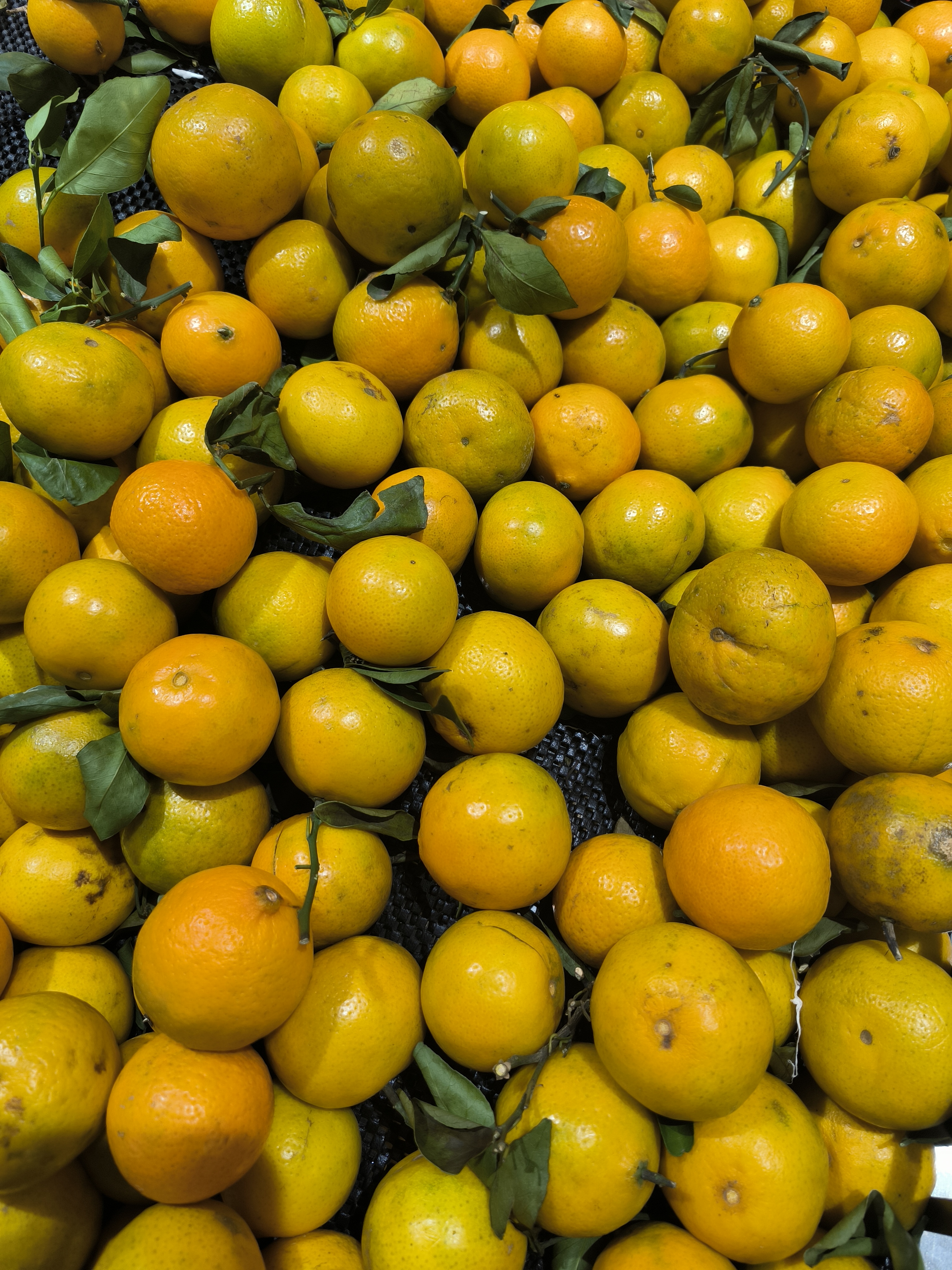 【幸福柿集】皇帝柑(500g)