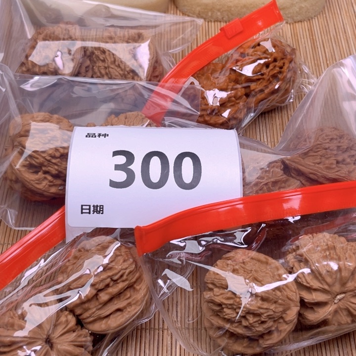 文玩核桃把件300号6对