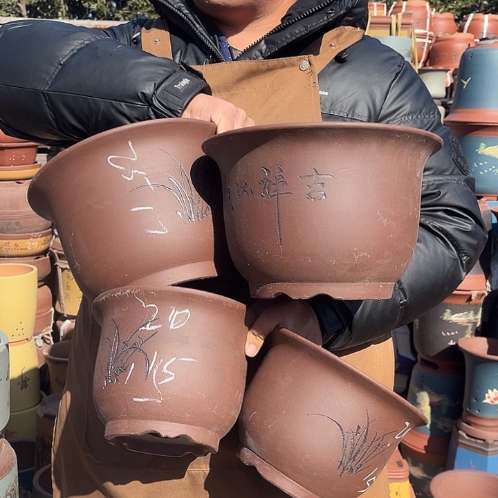 紫砂紫砂花盆盆栽