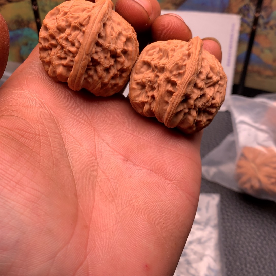 大叶紫檀（黑酸枝木类）