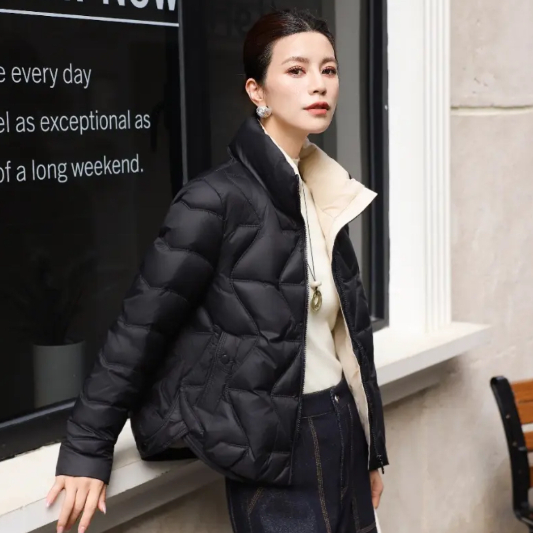 短款长袖亮面立领常规中厚女装轻薄冬季秋冬