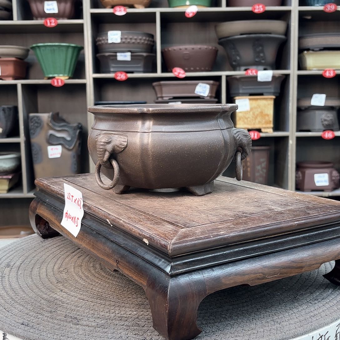 紫砂花盆浊***尘我们在这里吃过