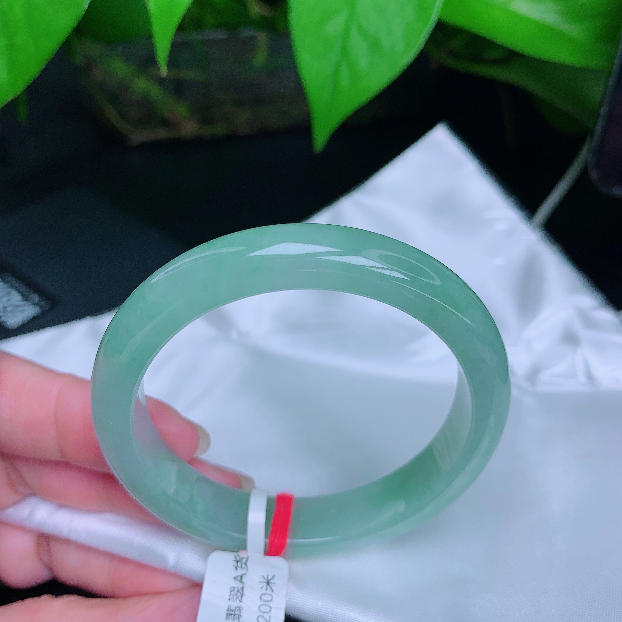 缅甸天然翡翠A货正圈53.6