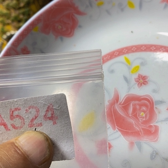 人***生瓷片我想知道为什么要