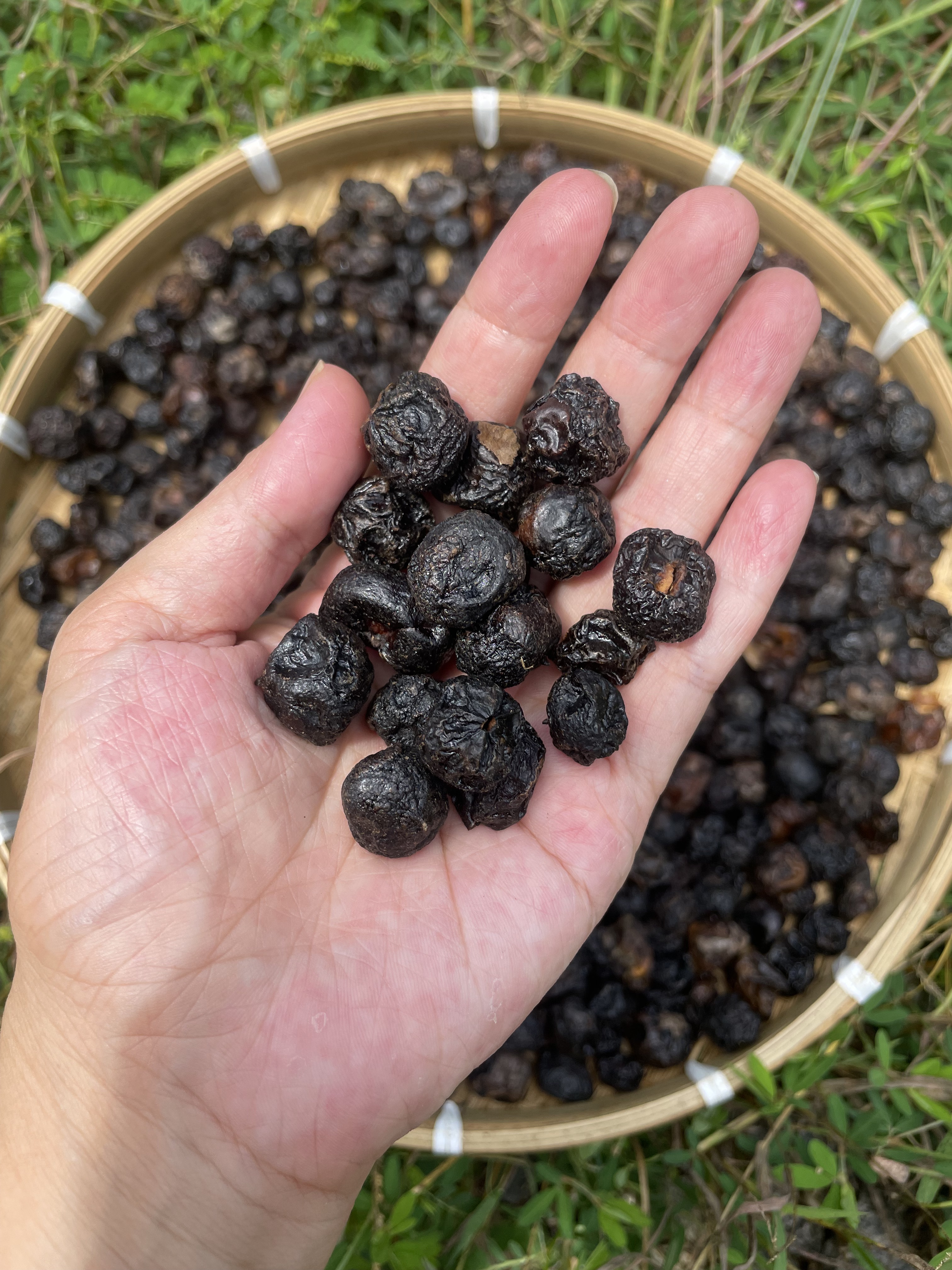 湖南衡特产野枇杷干毛枣子农家自晒土枇杷干泡水煮茶代用茶