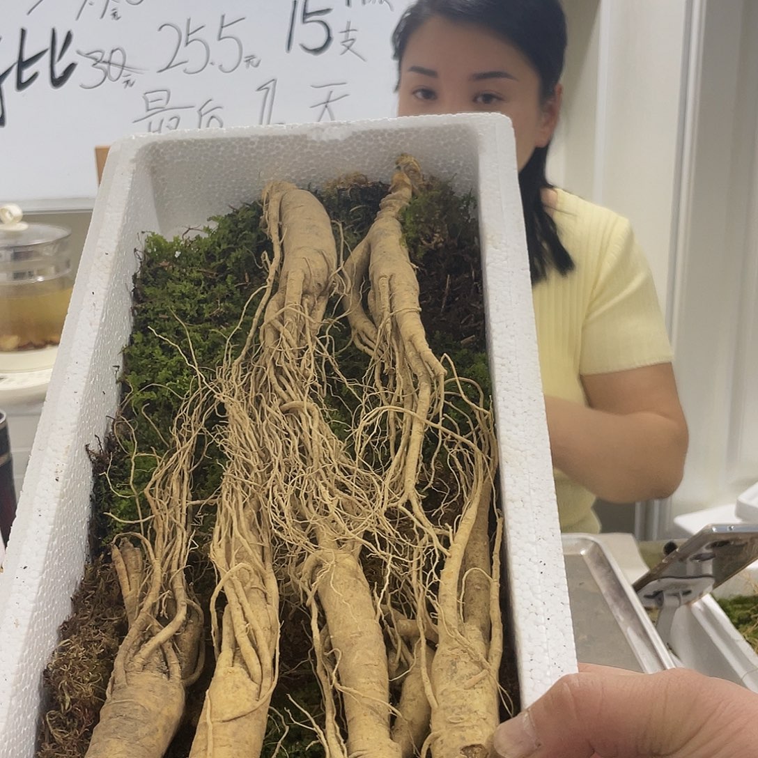 中国大陆长白山新鲜