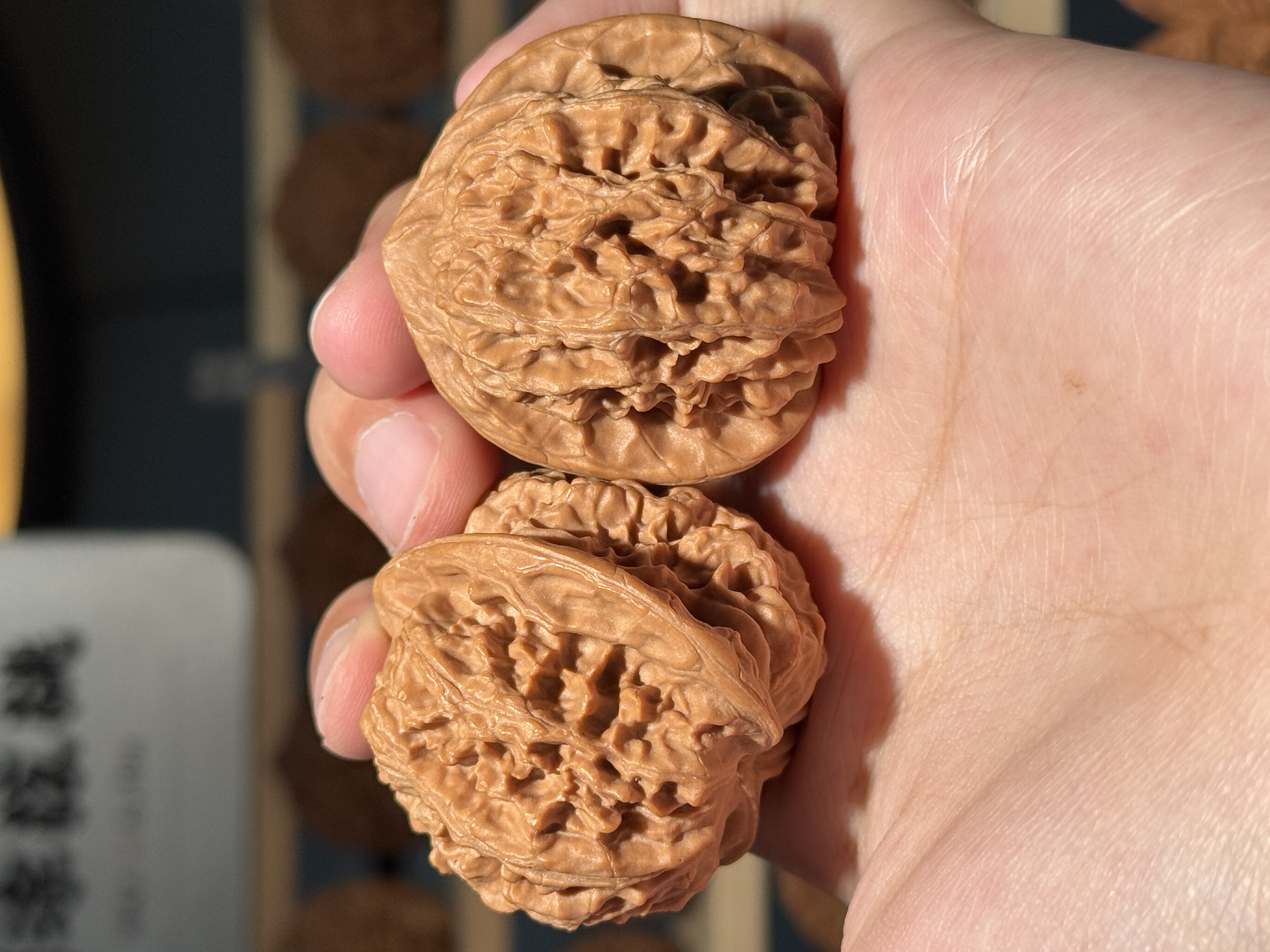 原树野核《龙甲四方鼎》