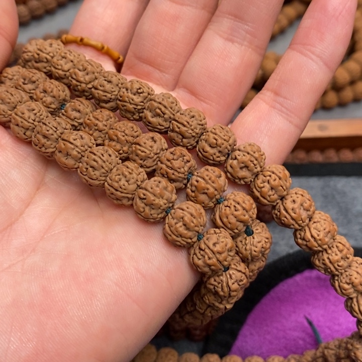 菩提清*客纯血老树王