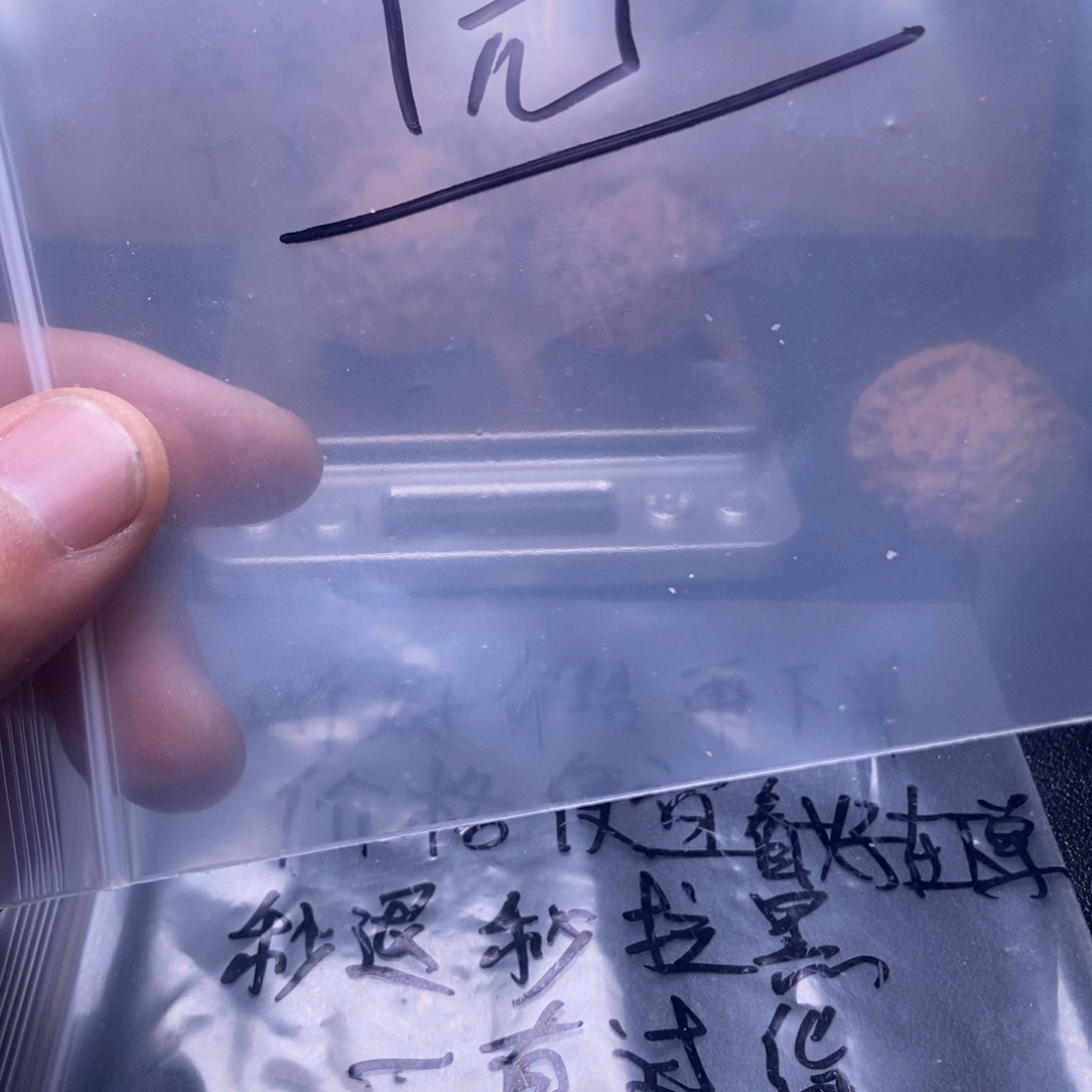 挥***春文玩核桃吊坠核桃