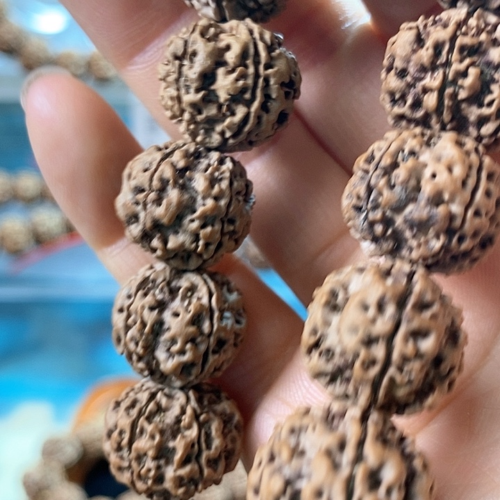 金刚菩提吊坠大*尼泊尔大金刚