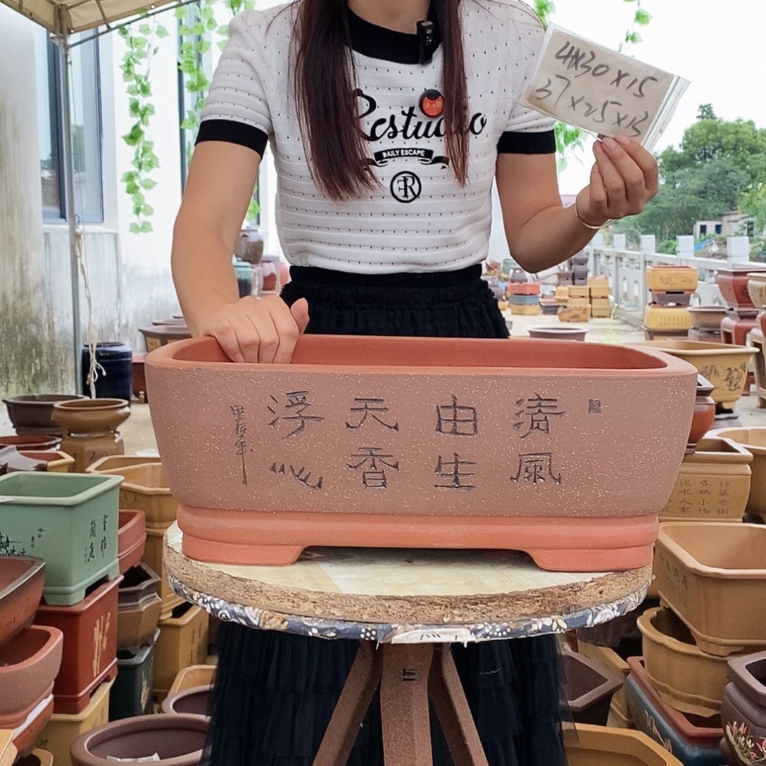 紫砂花盆紫砂花盆