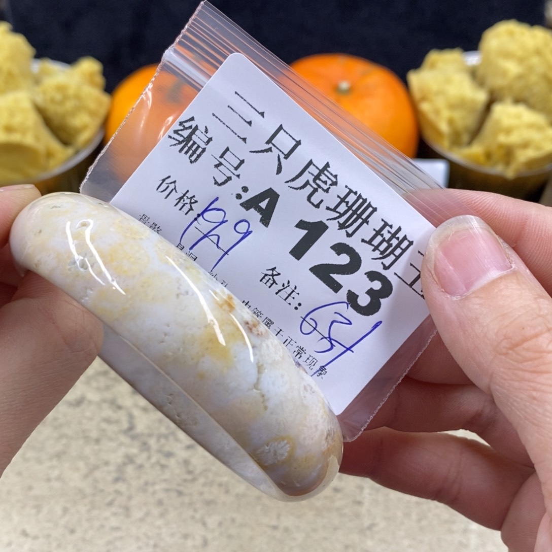 硅化珊瑚（珊瑚玉）1未镶嵌小*儿