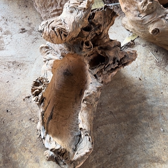 蒲*紫砂噜啦啦啦啦啦啦