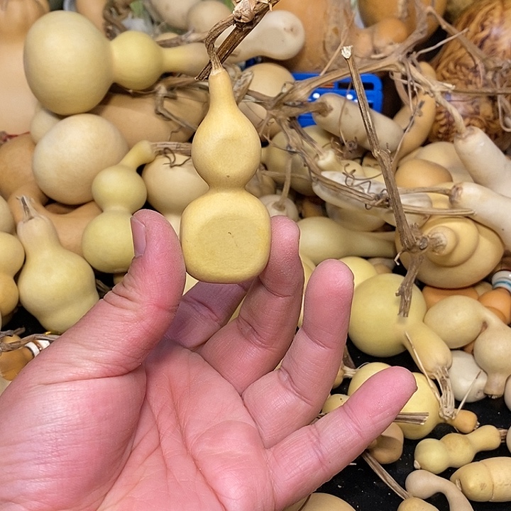 A****g精品葫芦手把葫芦35
