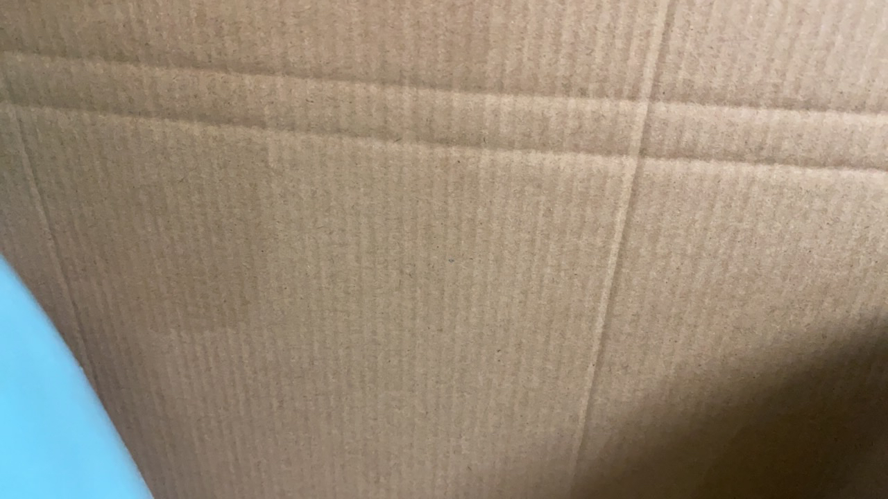 广西茉莉花茶5克