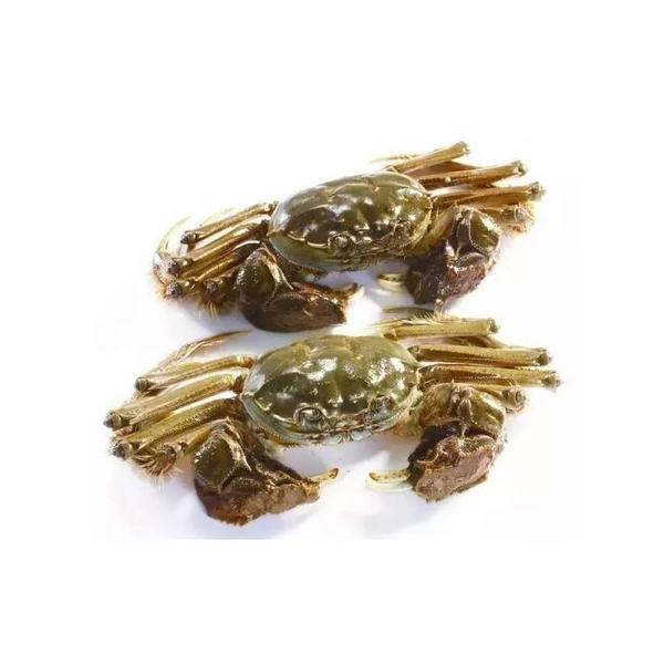 【六月黄】螃蟹1.0-1.3两 次日达鲜活发货 8只送2只 500g左右