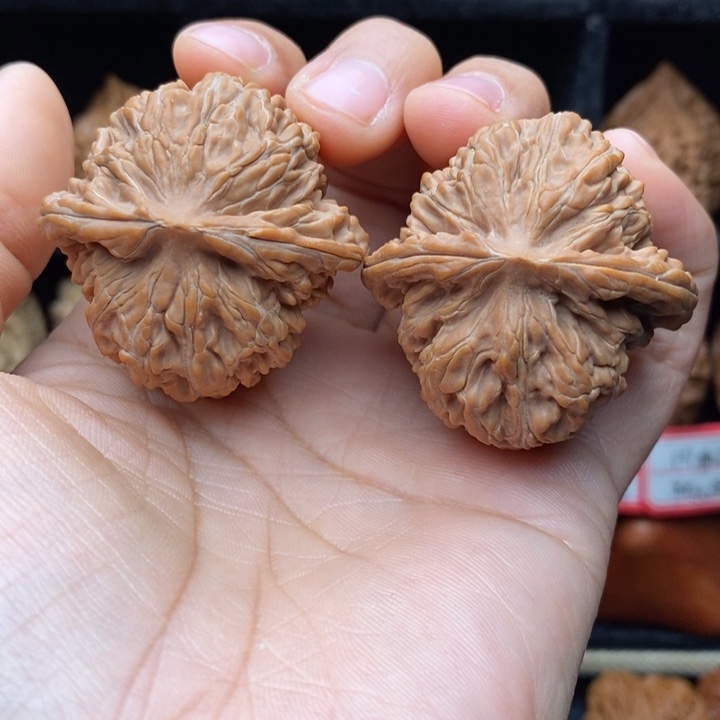 ୧***?核桃楼子42尺全品