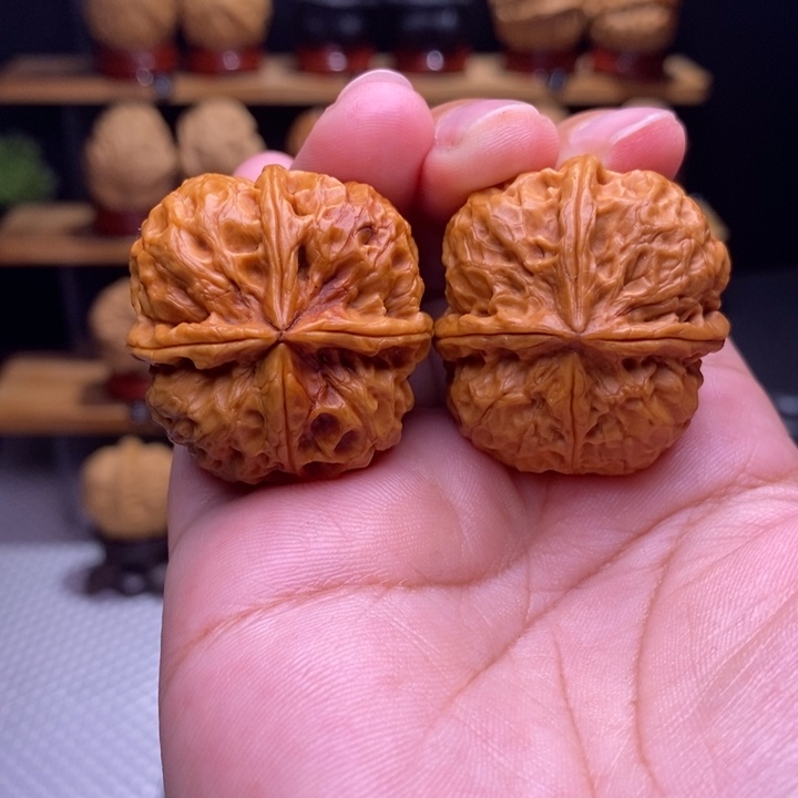 于***扶木质类云铁梅花四棱4号