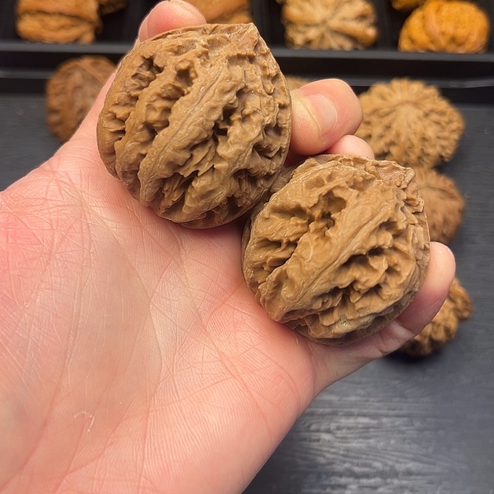 核桃秦岭山脉中段怒江与澜沧江