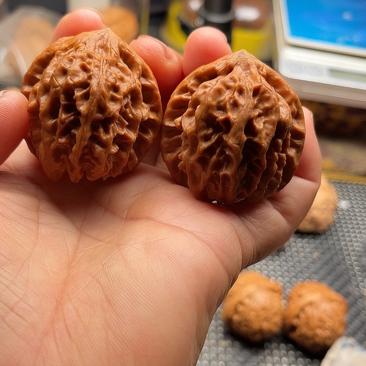 把件桃核曹大龙边41