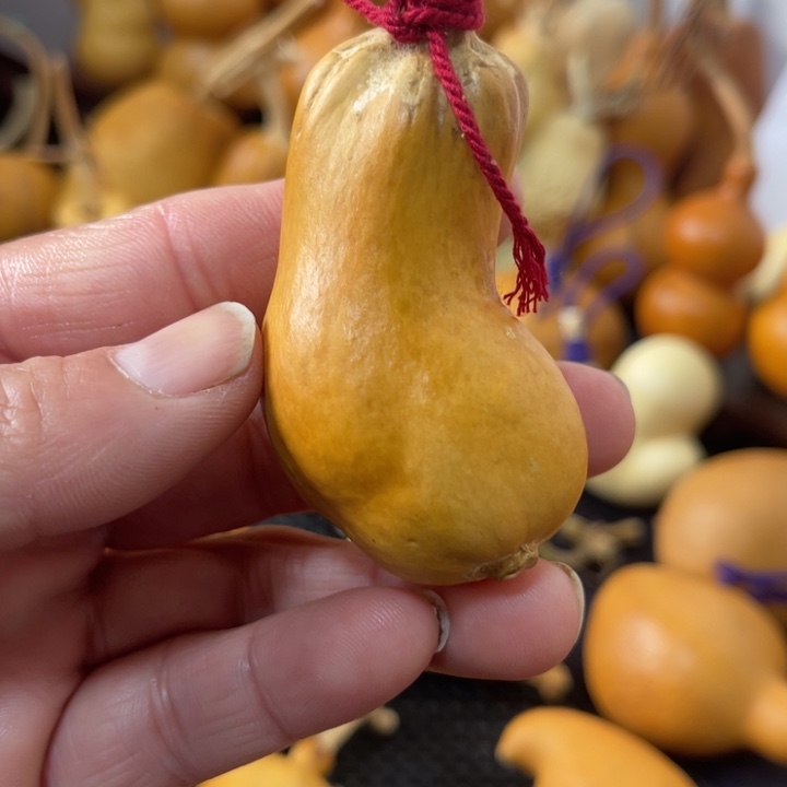 理***计葫芦哈哈哈哈哈哈哈哈