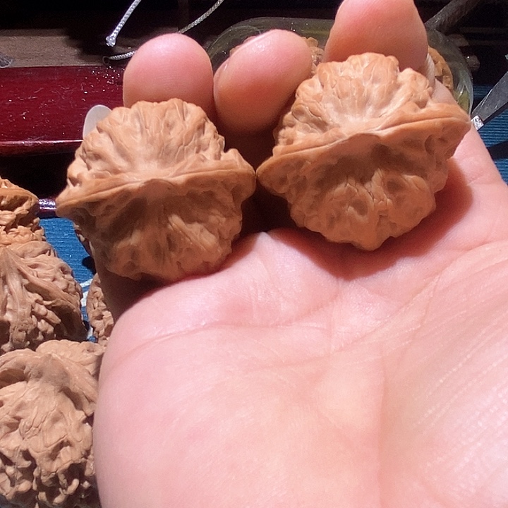 一***尘佛肚40。。。。。