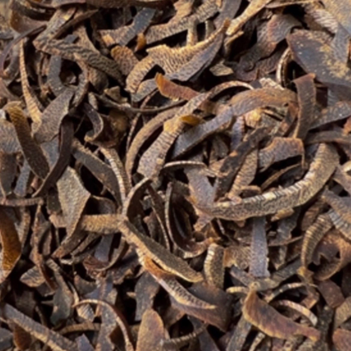 【闪购商品】沉香沉香碎屑吾**复奇楠透顶绿老料切丝197克