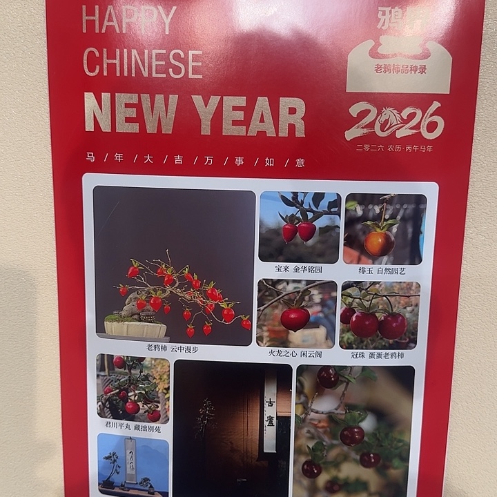 老鸦柿鸦界挂历一本顺丰到付